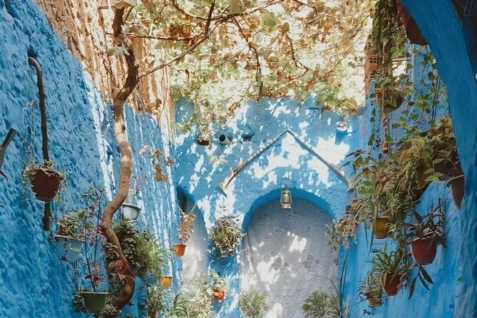 Day Tour in Blue City of Chefchaouen - Cancellation Policy