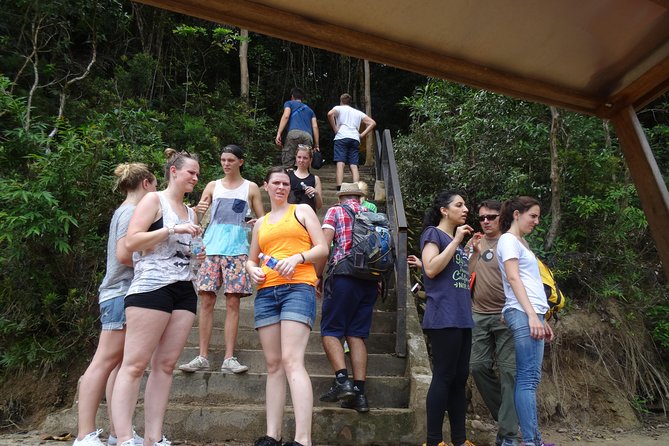 Day Tour Rainforest Taman Negara With Waterfalls + Batu Caves - Reviews and Testimonials