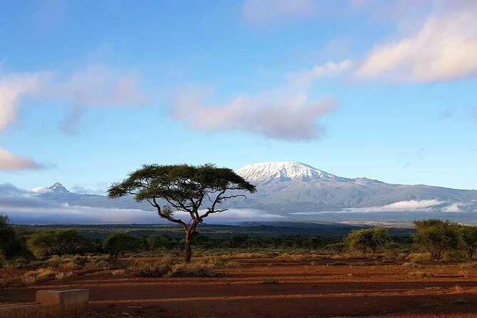 Day Tour to Amboseli National Park From Nairobi - Tour Overview
