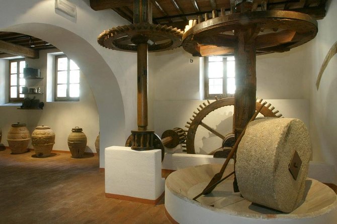 Day Trip: Olive Oil And Wine Museum With Lunch + Horse Riding - Group Size