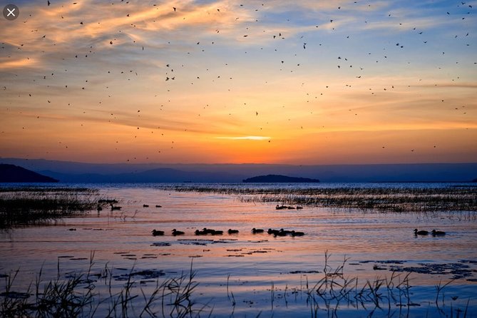 Day Trip To Lake Ziway - Cancellation Policy Details