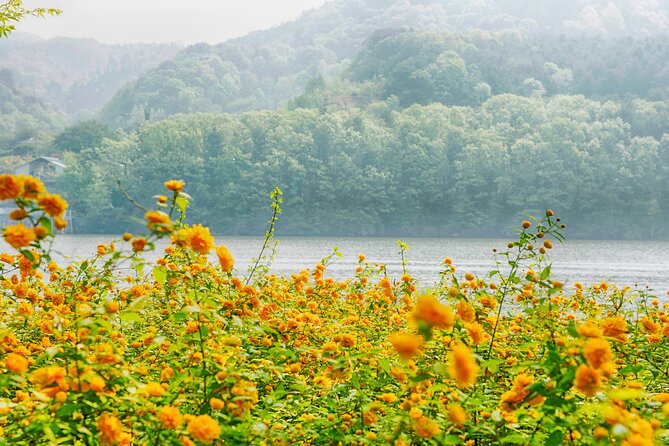 Day Trip to Nami Island With Rail Bike and the Garden of Morning Calm - Additional Information and Tips