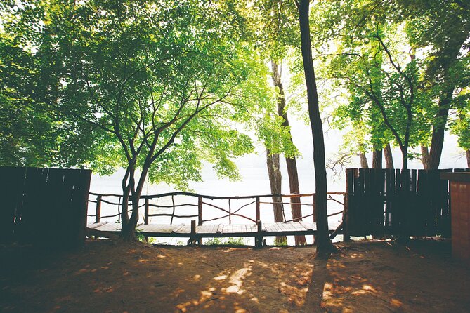 Day Trip to Nami Island With the Garden of Morning Calm - What To Expect