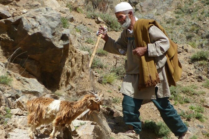 Day Trip to the Atlas Mountains With Locals - Inclusions and Services