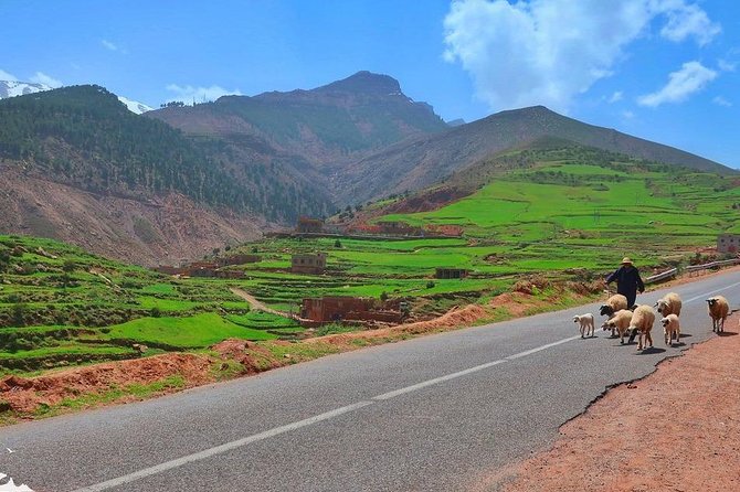 Day Trip to the Three Valleys From Marrakech & Camel Ride - Notes and Traveler Accommodations