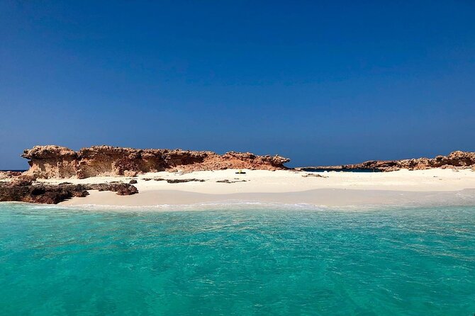 Daymaniyat Islands Snorkeling Half-Day Tour - Meeting Point and Departure Details