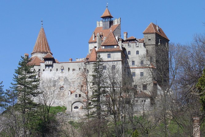 Daytour to Bran “Dracula'S” Castle + Peles Castle + Wine Tasting at Azuga Cellar - Pickup Details
