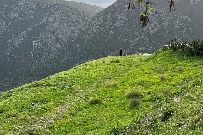 Delphi and Osios Loukas Byzantine Monastery - Tour Details
