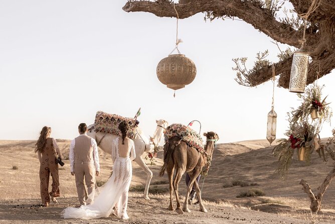 Desert Agafay Dinner Show & Magical Views of Atlas - Booking Information