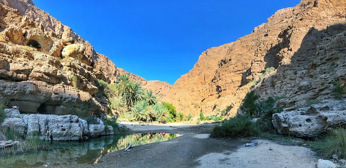 Desert Safari & Camping Private Tour - Booking Details