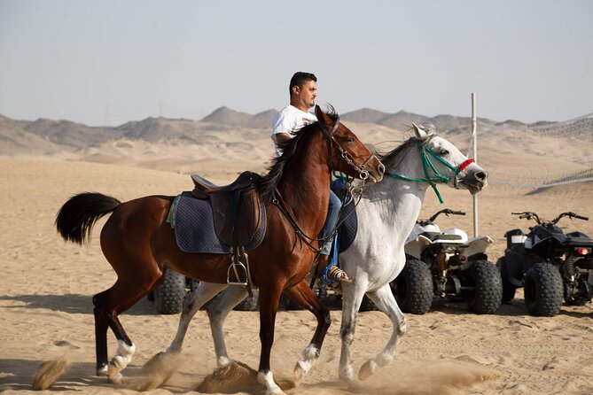 Desert Safari With Quad Bike Tours Jeddah - Frequently Asked Questions