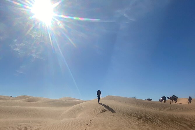 Desert Tours and Adventurous Camel Trekking Through the Sahara - Frequently Asked Questions