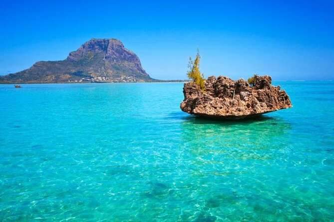 Discover Mauritius: Dolphin Watch, Snorkeling, BBQ Lunch