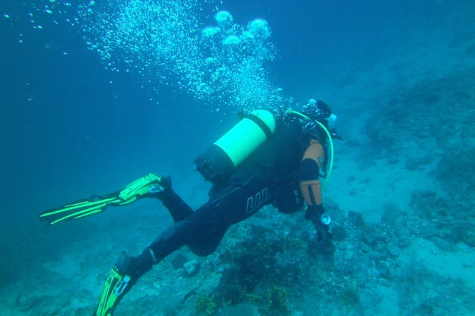 Discover Scuba Diving - Additional Information