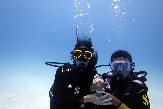 Discover Scuba Diving- EasyDive Lemorne - Customer Reviews and Ratings