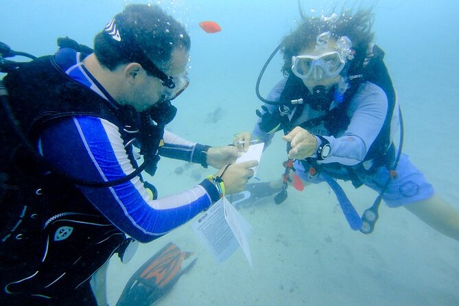 Discover Scuba Diving From a Fishing Village - Cancellation Policy and Reviews