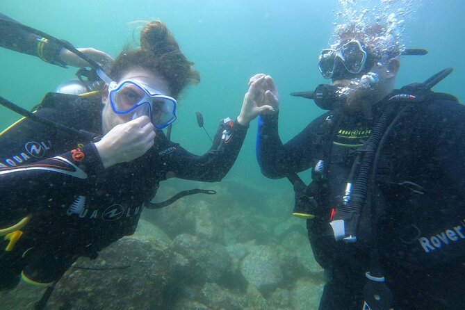 Discover Scuba Diving in Fujirah Dibba - Itinerary Highlights
