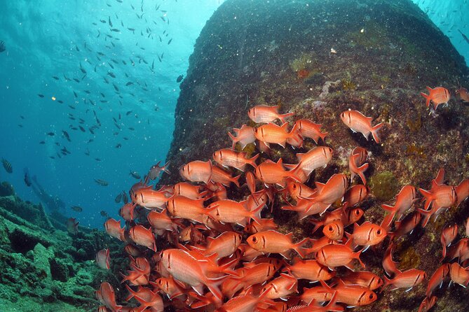 Discover Scuba Diving in Sal - PADI-Certified Instructors and Gear