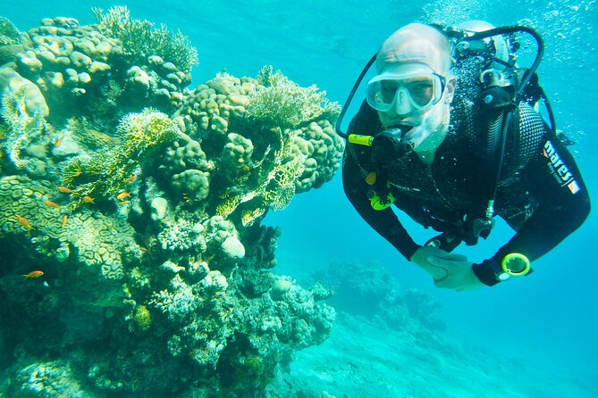 Discover Scuba Diving - Indroductory Dives - The Sum Up