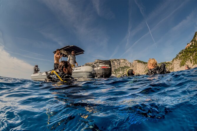 Discover Scuba Diving PADI - Trial Dive in Sorrento - Meeting Point