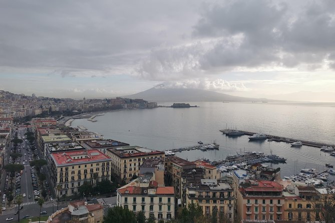 Discovering Napoli,Paestum, Mozzarella&Wine Tasting - Tour Highlights