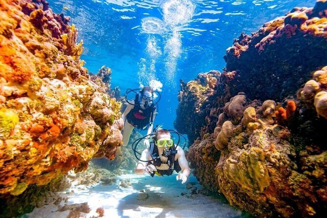 Diving Tour With Lunch - Frequently Asked Questions