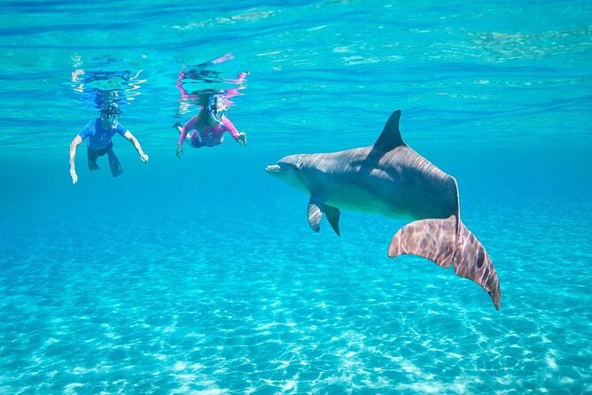 Dolphin Discovery Adventure in Hurghada - What to Bring