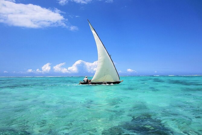 Dolphin Tour & Snorkeling at Mnemba Island - Booking Information