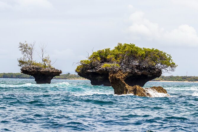 Dolphin Watch & Snorkeling at Kisite Marine Park & Wasini Island - Overall Experience