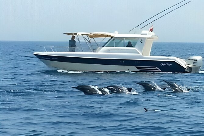 Dolphin Watching and Snorkeling Activity in Muscat - Frequently Asked Questions