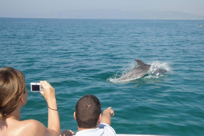 Dolphin Watching and Snorkeling Tour From Muscat - Reviews Summary and Feedback