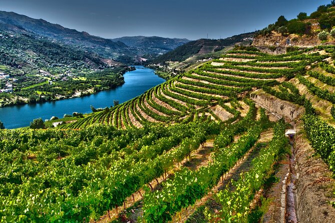 Douro Valley Private Tour With Wine Tastings From 2 Wineries - Frequently Asked Questions