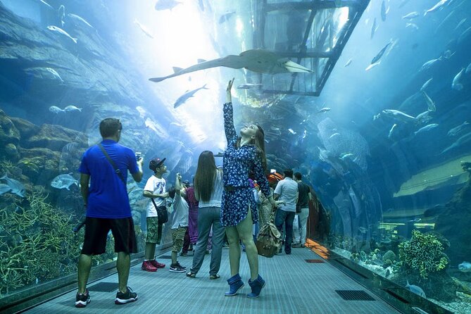 Dubai Aquarium & Under Water Zoo With Penguin Cove Option - Cancellation Policy Breakdown