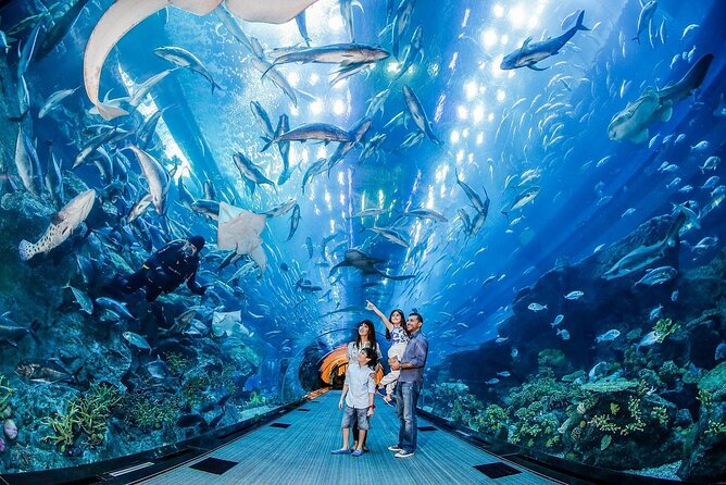 Dubai Aquarium & Underwater Zoo - Guided Behind the Scenes Tour
