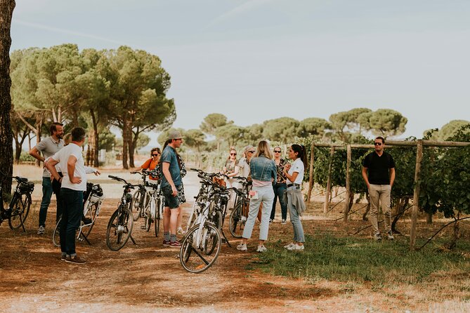 E-Bike Tour & Picnic in an Exclusive Winery Estate in Valladolid - Tour Highlights