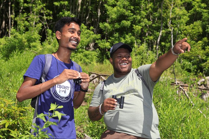 Ebony Forest Reserve Chamarel: Endemic Birdwatching Guided Tour - Important Guidelines