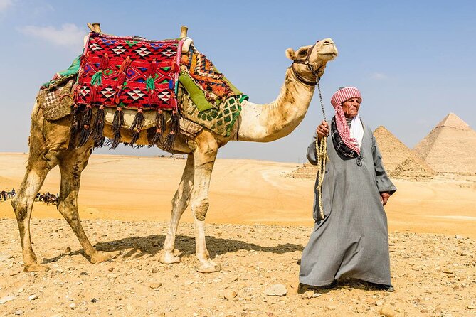 Egypt and Dubai Tours 7 Days With Guide and Sightseeing and Hotel - Hotel Accommodation Details