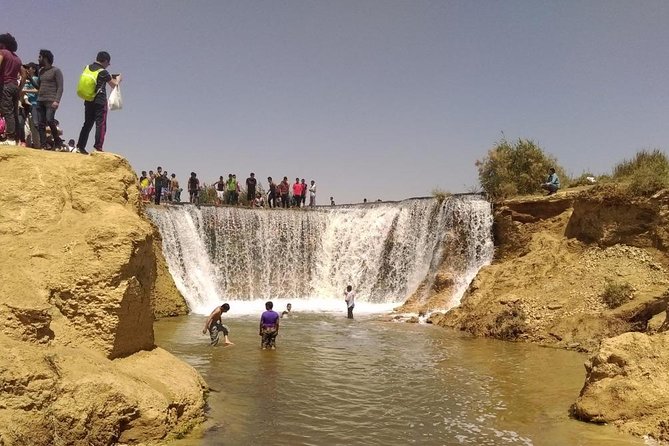 Egypt Oasis: Tour to El Fayoum Oasis and Wadi Al Rayan - Meeting and Pickup