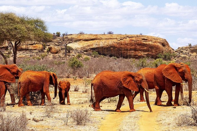 Set out on a Spectacular 2 Days Safari to Tsavo East National Park - Availability and Pricing