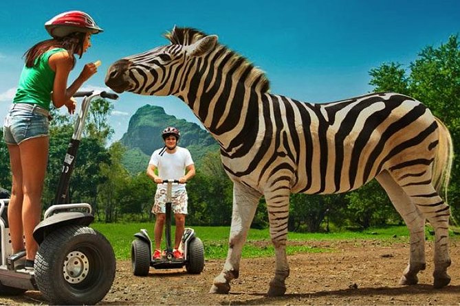 Enchanting South of Mauritius: Full-Day Tour Incl CASELA Park, Lunch & Transfer - Directions