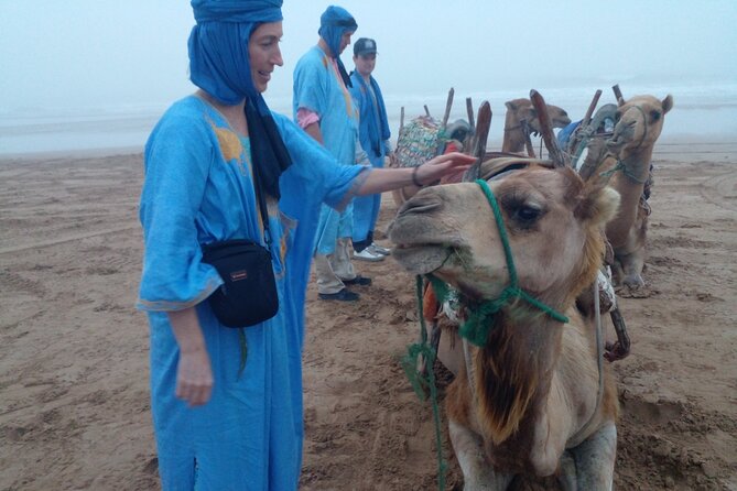Essaouira: 1 Hour Dromedary + 2 Hours Quad - Customer Reviews