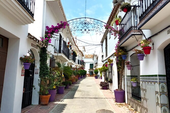 Estepona Private Walking Tour - Private Tour Guide