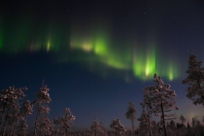 Evening Snowmobile Safari With Campfire in Saariselkä - Booking Details