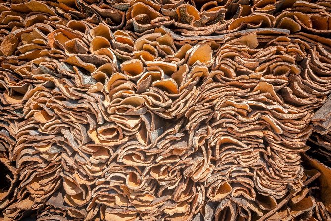 Évora Private Tour | Cork | Wine - Frequently Asked Questions