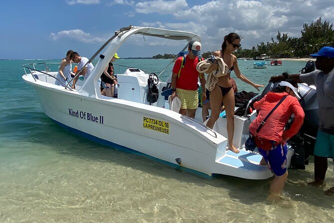 Exciting Dolphin Encounters in the Maurtiuss Lagoon - Reviews and Ratings