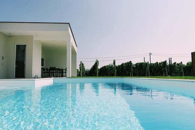 Exclusive V.I.P Party All-Included for Bachelor/Stag/Gentlemen - Price and Reviews