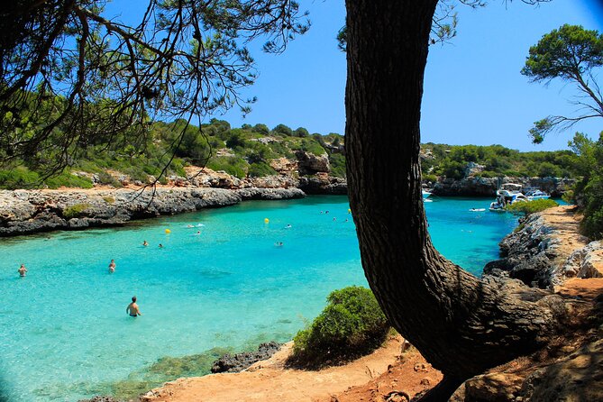 Excursion to Cala Sa Nau, Cala Mitjana, and Cala Marçal - Booking Information