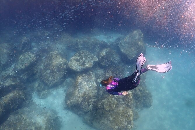 Experience Snorkelling in Puerto Del Carmen, Lanzarote - Booking Information