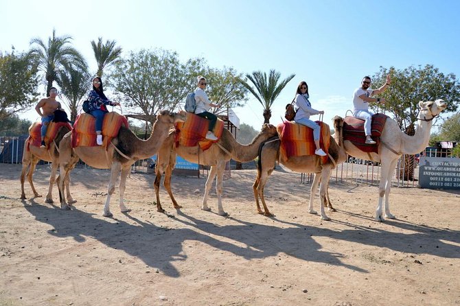 Experience Spa Hammam Massage and Camel Tour - Pricing and Booking