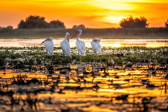 Explore Danube Delta and Black See in 2 Day Private Tour From Bucharest - Additional Information